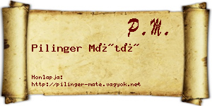 Pilinger Máté névjegykártya